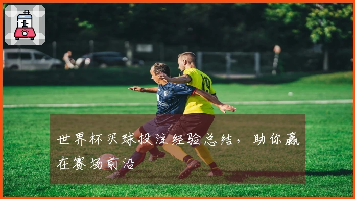 世界杯买球投注经验总结，助你赢在赛场前沿