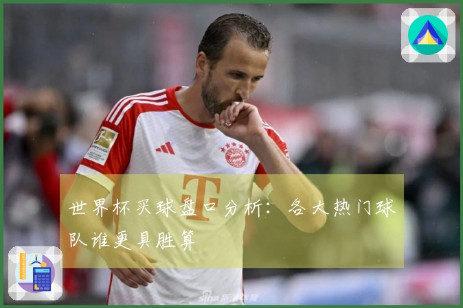 世界杯买球盘口分析：各大热门球队谁更具胜算