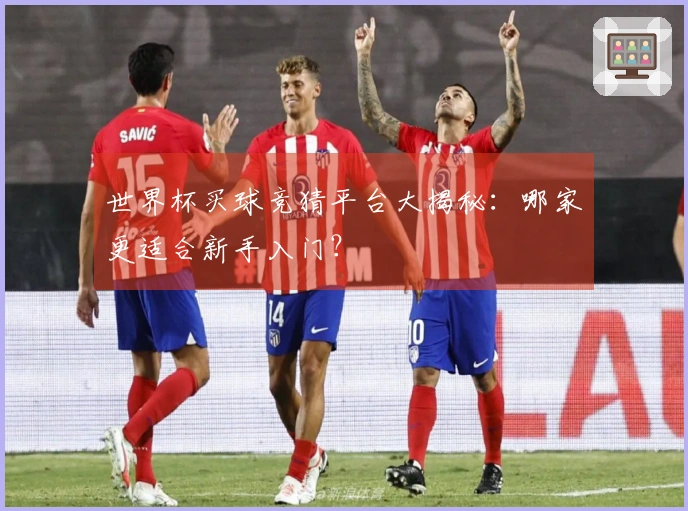世界杯买球竞猜平台大揭秘：哪家更适合新手入门？