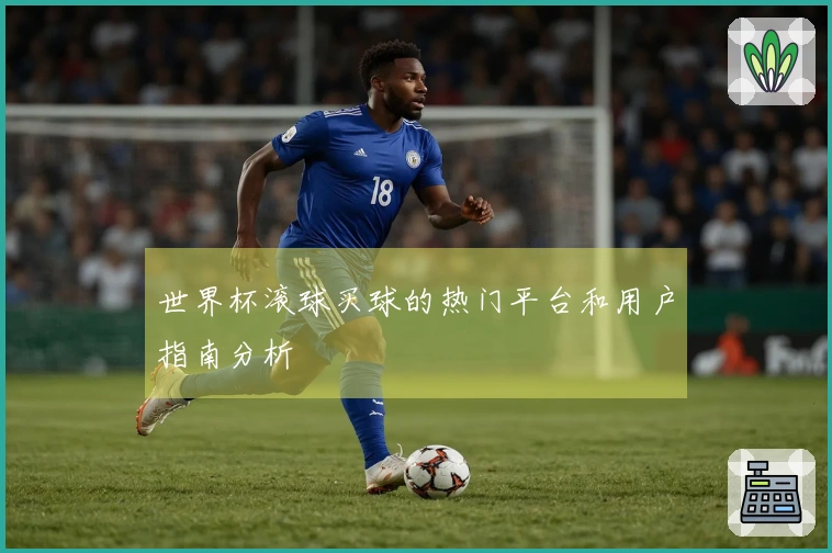 世界杯滚球买球的热门平台和用户指南分析