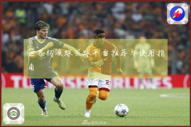 世界杯滚球买球平台推荐与使用指南