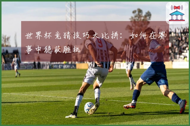 世界杯竞猜技巧大比拼：如何在赛事中稳获胜机