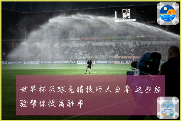世界杯买球竞猜技巧大分享 这些经验帮你提高胜率