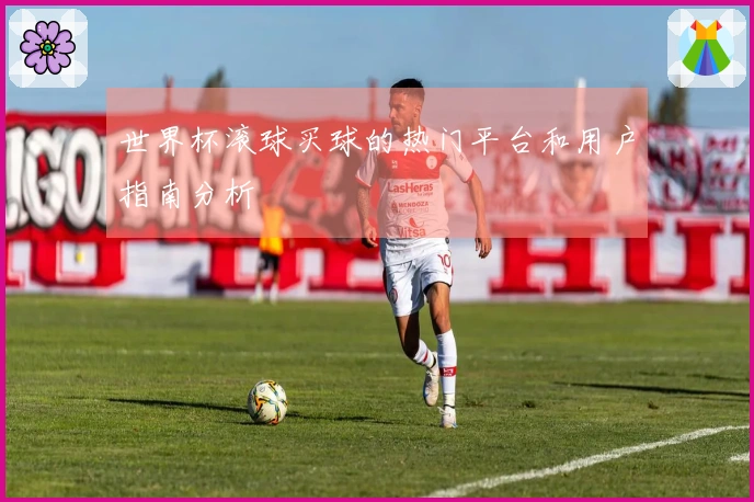 世界杯滚球买球的热门平台和用户指南分析