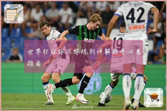 世界杯让球买球规则详解新手必看指南