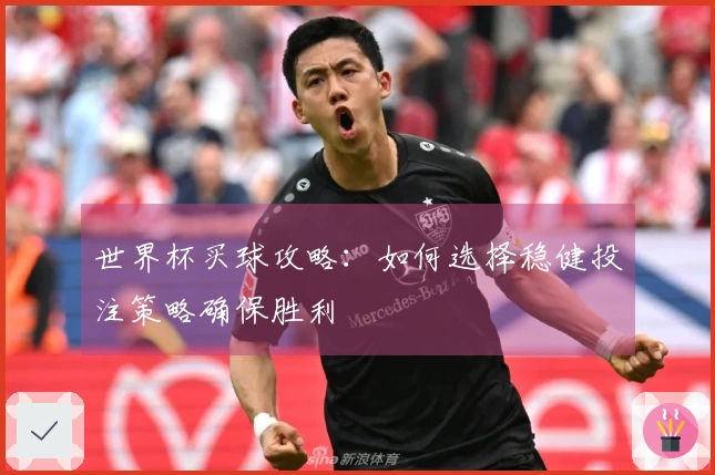 世界杯买球攻略：如何选择稳健投注策略确保胜利