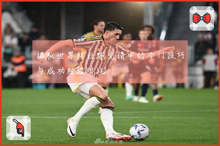 揭秘世界杯让球竞猜中的冷门技巧与成功经验对比